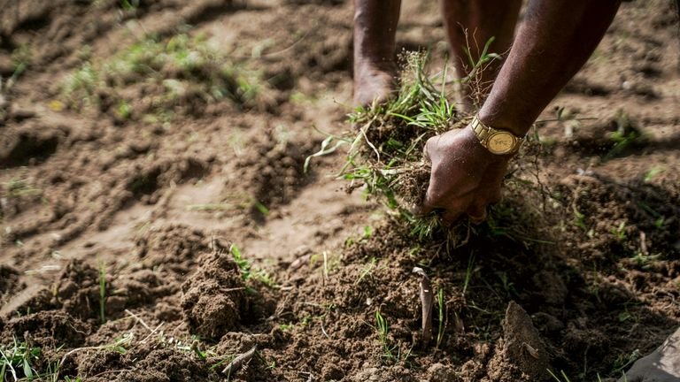 Amostra de solo em mãos durante avaliação agronômica