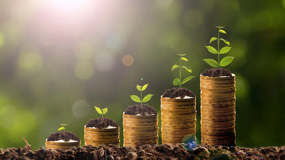 A fertilidade do solo depende de um equilíbrio entre nutrientes essenciais. Mas para garantir que esses nutrientes estejam disponíveis em profundidade, é necessário um manejo adequado. Neste artigo, vamos explorar os cinco nutrientes fundamentais para um perfil de solo produtivo e como manejá-los corretamente.