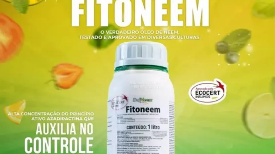 O Óleo de Nim é um dos defensivos naturais mais eficientes da atualidade, sendo usado há séculos como um inseticida e fungicida natural. Mas afinal, como ele funciona no organismo das pragas e patógenos?