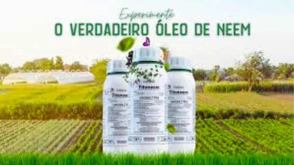 O Óleo de Nim tem ganhado cada vez mais destaque na agricultura sustentável devido às suas propriedades inseticidas, fungicidas e nematicidas naturais. Extraído da árvore Azadirachta indica, esse óleo é uma alternativa biológica e eficiente para o controle de pragas, reduzindo a dependência de agroquímicos sintéticos e promovendo um cultivo mais equilibrado.