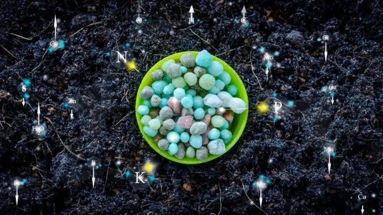 Micronutrientes cobalto, molibdênio, níquel, zinco e cobre no manejo nutricional