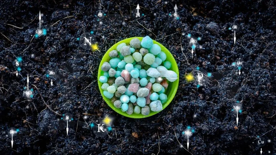 A nutrição adequada das plantas é fundamental para garantir o crescimento saudável e a produção eficiente de culturas agrícolas.