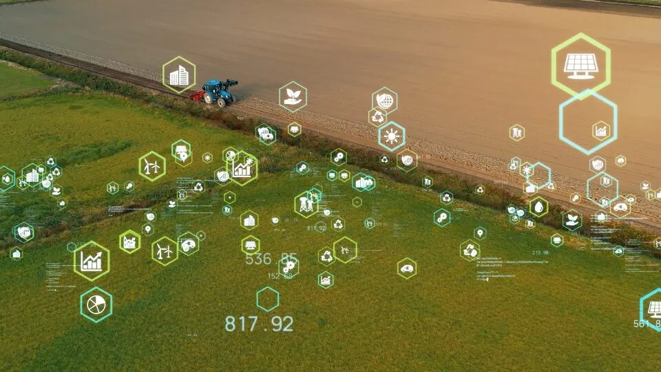 A busca por soluções inovadoras para aumentar a eficiência hídrica na agricultura tem levado ao uso de tecnologias como o gel de plantio à base de poliacrilato de potássio.