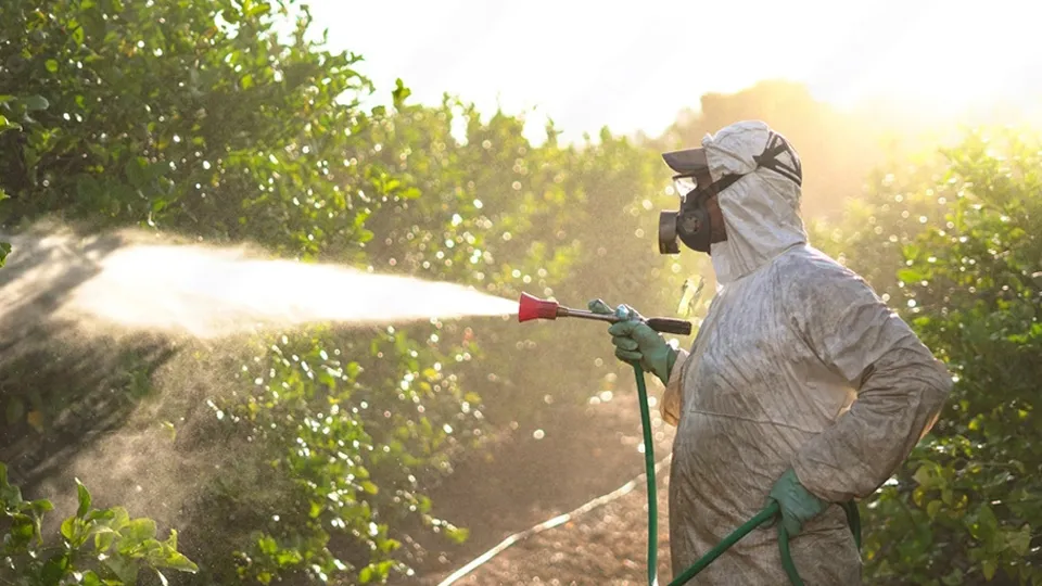 Os pulgões são uma praga comum em hortaliças, causando danos significativos às plantas. O óleo de neem pode ser utilizado para controlar essas pragas de forma eficaz, interferindo em seu ciclo de vida e impedindo sua reprodução.