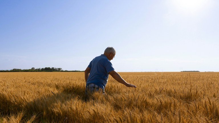 Produtor avaliando lavoura comercial em contexto de análise de custo-benefício e retorno do manejo agrícola