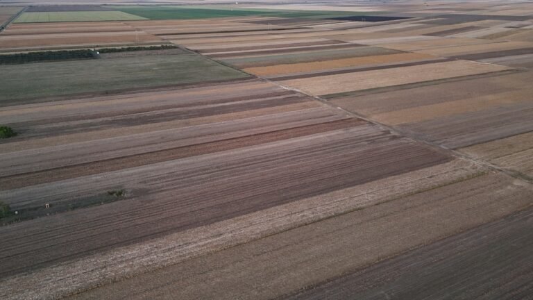 Vista aérea de áreas agrícolas com diferentes cultivos em rotação