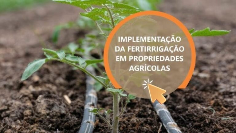 NUTRI FH + ALGAS com substâncias húmicas, aminoácidos e Ascophyllum nodosum para manejo do solo