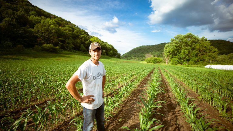 Produtor em área agrícola representando inspeção e momento de entrada do AGRONEEM no manejo da mosca-branca