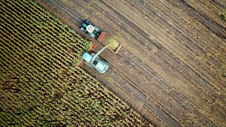 Área agrícola representando planejamento e cálculo da quantidade total de AZON por hectare