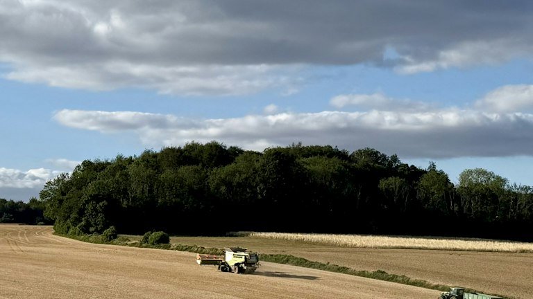 Operação agrícola em área de cereais representando o posicionamento do AZON no sulco de plantio