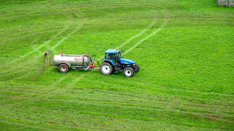 Operação de fertilização em campo de pastagem representando manejo nutricional da forrageira