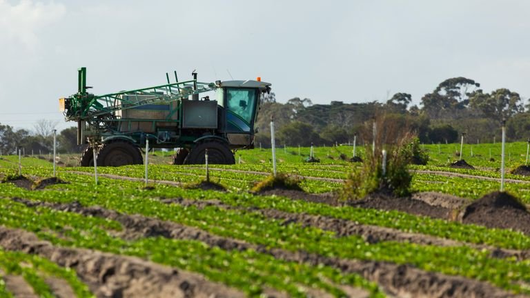 Pulverizador agrícola em campo representando calibração e aplicação foliar por hectare
