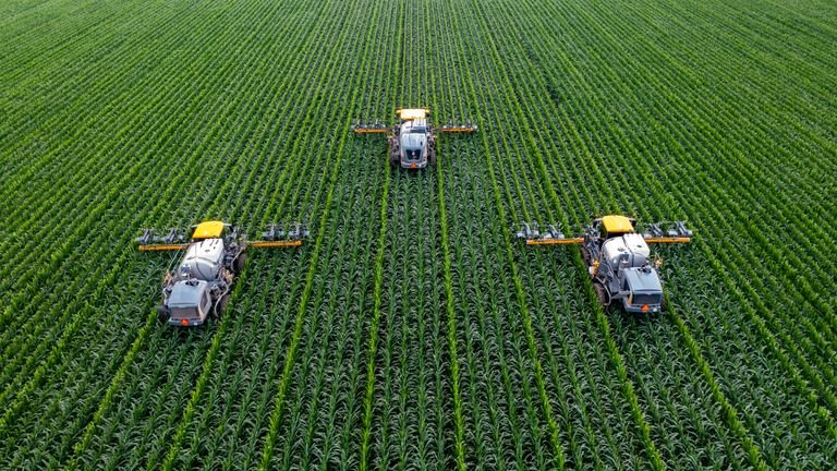 Parcelas agrícolas em campo representando ensaio comparativo, testemunha, repetição e avaliação agronômica