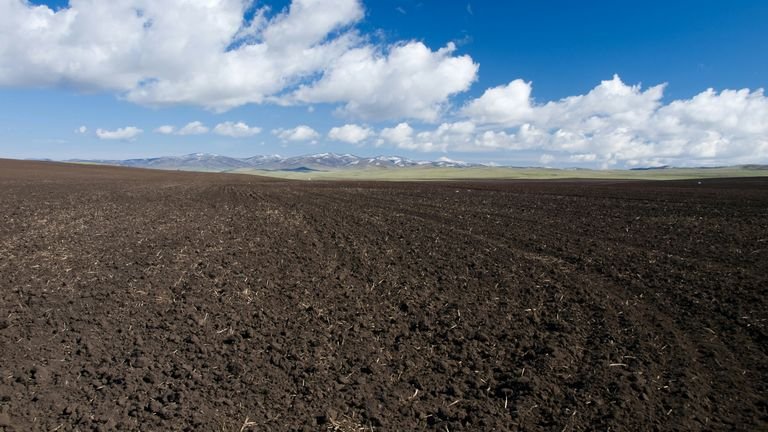 Área agrícola com solo preparado representando estrutura e manejo de solo argiloso
