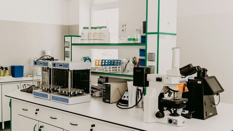 Ambiente de laboratório representando a identificação taxonômica de Cordyceps fumosorosea, também conhecido como Isaria fumosorosea