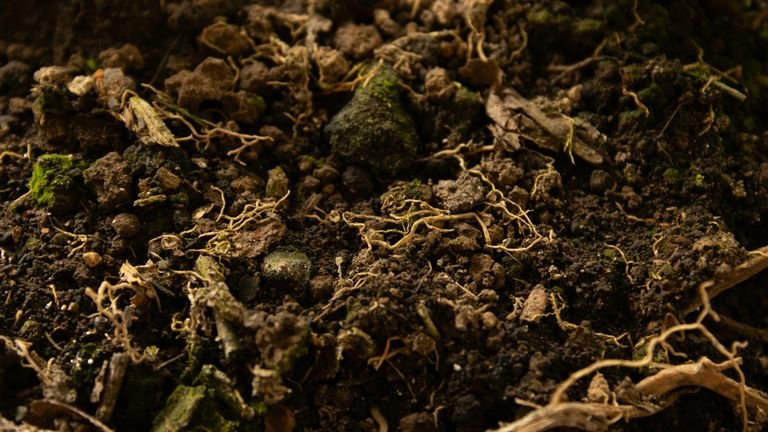 Solo agrícola em close representando retenção e movimento de água na região radicular
