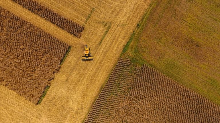 Resíduos de cultura cobrindo solo agrícola representando manejo de palhada, matéria orgânica e retenção de água