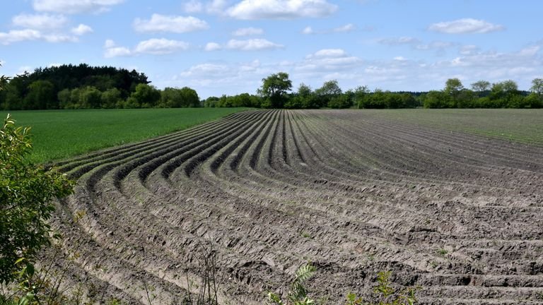 Área agrícola preparada representando manejo de acidez do solo, calagem e uso complementar de substâncias húmicas