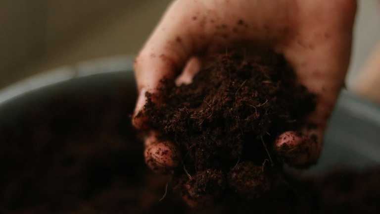 Solo em mãos representando o ambiente radicular e o manejo do solo com NUTRI FH + ALGAS