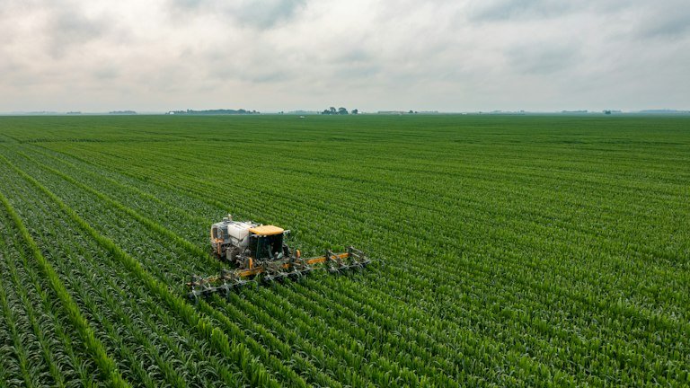 Lavoura em crescimento representando fases de maior demanda fisiológica e uso do NUTRI FH + ALGAS
