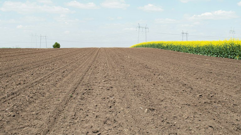 Área agrícola preparada representando a integração do NUTRI FH + ALGAS ao programa de fertilização