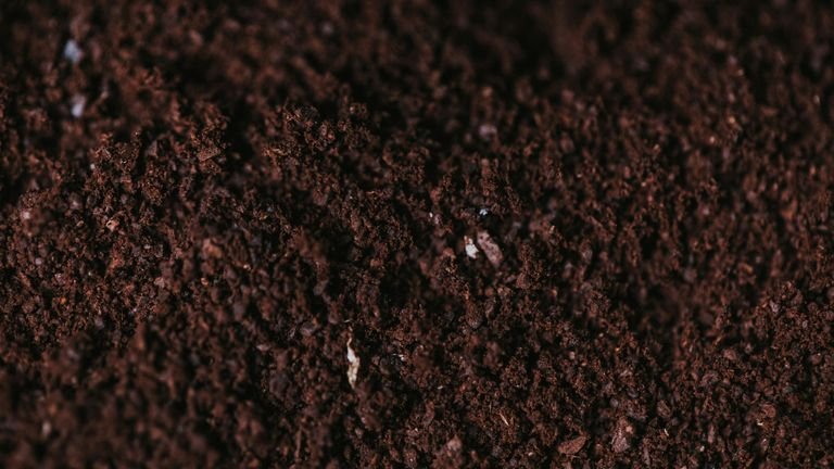 Solo agrícola em close representando o manejo com ácidos húmicos potássio e boro