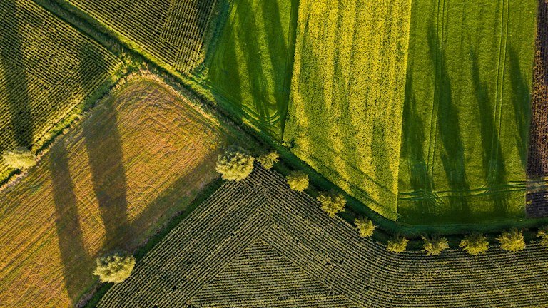 Vista aérea de área agrícola representando cálculo da quantidade total de NUTRI SOLO GEL por hectare