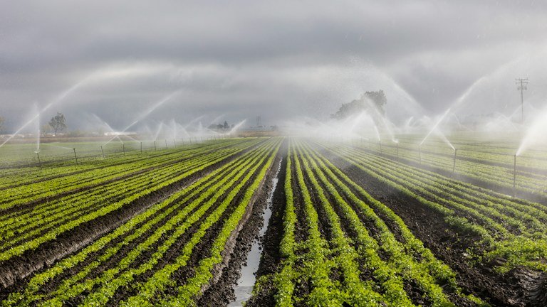 Irrigação em lavoura representando chuva irregular, recarga de água no solo e reidratação de hidrogel