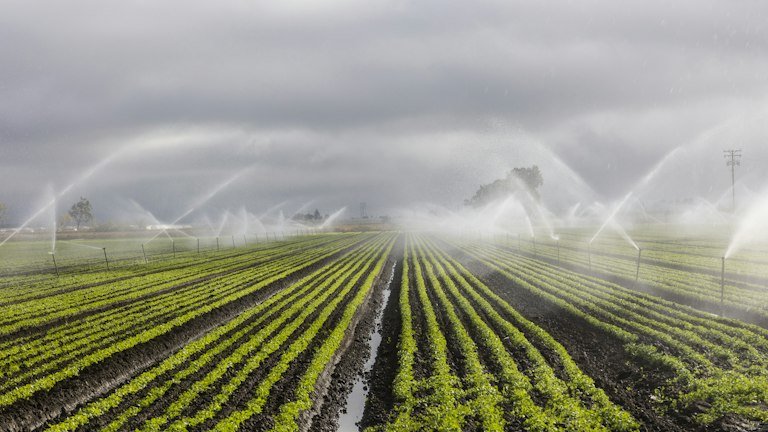 Irrigação em área agrícola representando a primeira hidratação do NUTRI SOLO GEL após a aplicação