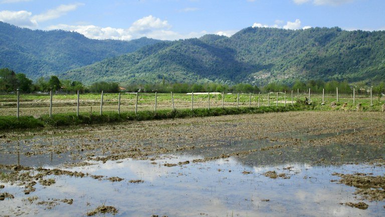 Área agrícola com excesso de água representando saturação do solo, drenagem e risco de hipóxia radicular