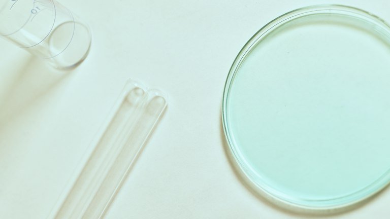 Bancada de laboratório representando controle microbiológico e viabilidade dos conídios do ONMETA