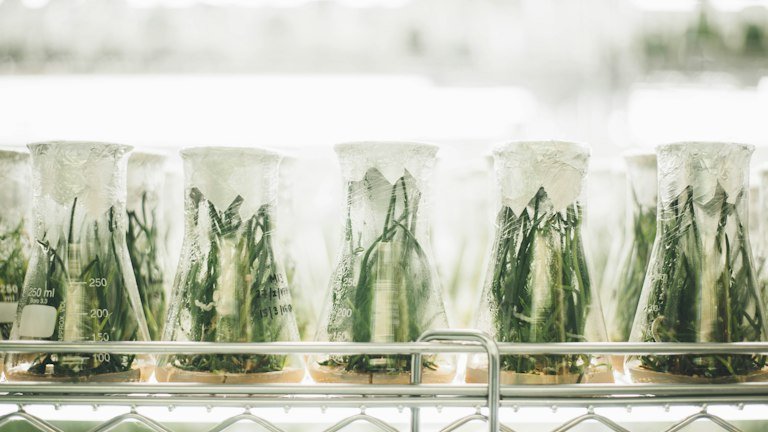 Ambiente técnico de laboratório representando registro, composição e identificação microbiológica do ONMETA