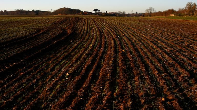 Solo agrícola com áreas afetadas por sais representando diferenças entre salinidade, sodicidade e manejo corretivo