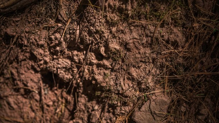 Superfície de solo agrícola representando influência do pH na carga e reatividade de substâncias húmicas